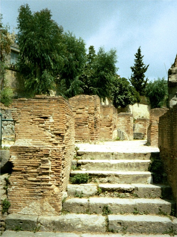 it pozz 76543_22.jpg
